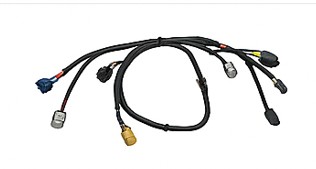 QE862A001 - BodyHarness